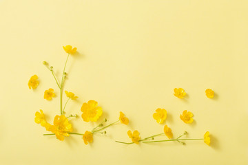 yellow buttercups on yellow paper background