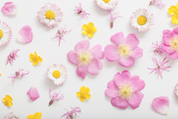 summer flowers on white background