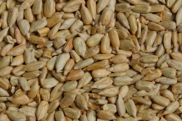 natural plant texture from gray brown fine peeled seeds