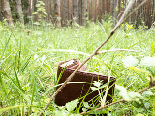 Lost wallet with money in the forest in the close-up