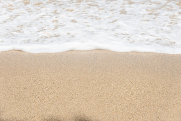 Fototapeta na wymiar shell on the beach, Hermit card , On the beach, Southeast Alive