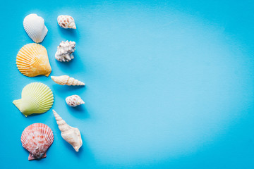 Seashall on blue background, summer background concept.