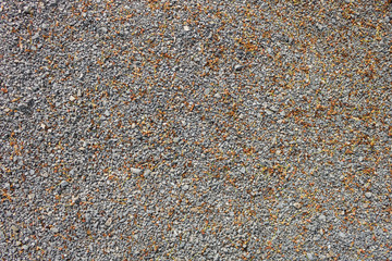 texture of small gray stones and plant parts on the ground, full frame background