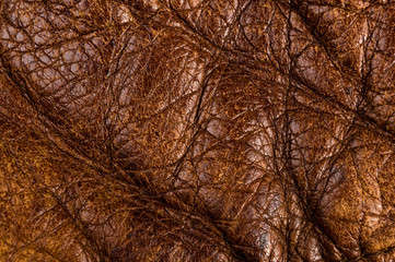 Old vintage genuine soft brown leather texture background, top layer with pores and scratches,...