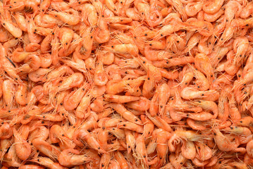 Tasty fresh shrimps as background.