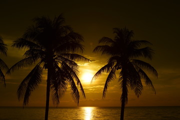 Fototapeta na wymiar The sun is rising and the golden yellow sky and coconut trees at the beach by the sea in the early morning