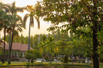 serene park in city center during sunrise time