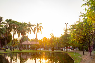 Obraz premium serene park in city center during sunrise time