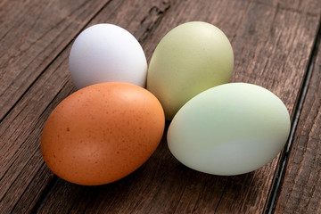 Fresh eggs of several chicken breeds