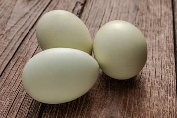 green colored araucana eggs