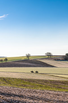 Germany, Baden-Wuerttemberg, Uissigheim, landscape
