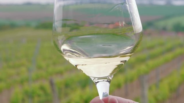 Sommelier swirling and tasting white wine in wineglass against unfocused vineyard in background. Close-up of glass with alcohol in winemaker hand in restaurant. Man enjoying scent of wine on vacation