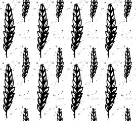 Wheat or malt seamless pattern. Black and white hand drawn