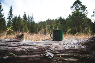 Coffee in nature