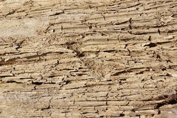 sand soil dirt texture background crack faults