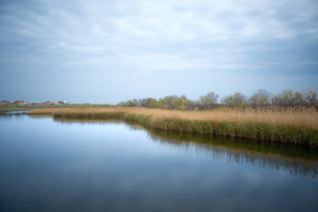 Fototapeta premium Beautiful landscape of blue lake and reeds