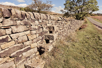 Scenic view of stone wall in Yorkshire