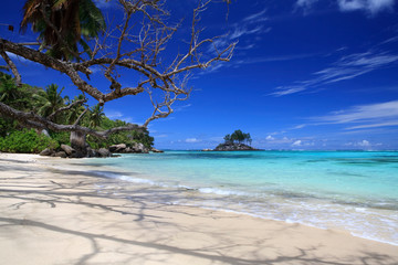 amazing tropical beach and sea at Ile De Soris, The Island of Mahe, Seychelles