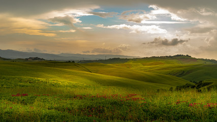 Tuscany landscape rolling hills on a sunny day