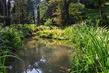 Botanical garden in the Georgia