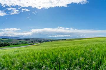 Cityscape of Kirchheimbolanden as panorama