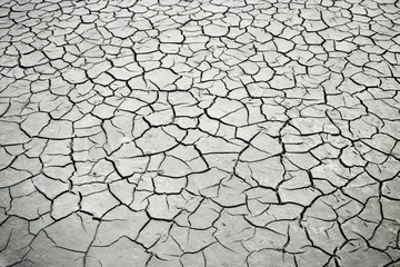 Dry ground, cracked earth texture