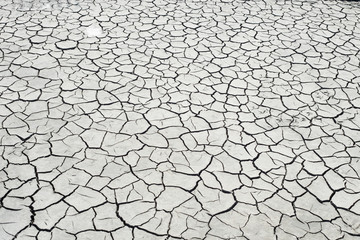 Dry ground, cracked earth texture