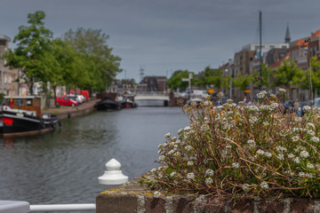 Fototapeta na wymiar 27 May 2019; Leiden; Netherlands; Panoramic view of port in the center of Leiden