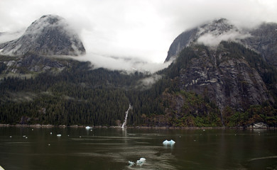 Tracy Arm fjiord ice floating