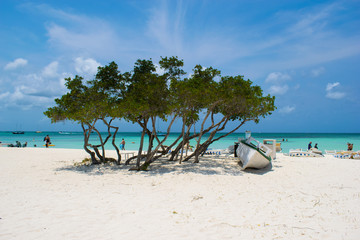 tropical beach with palm trees