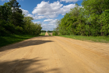 Fototapeta na wymiar Empty, rural dirt unpaved road in Dakota County, Minnesota on a sunny spring day