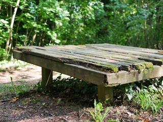 Wood lost in the forest