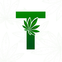 Letter with cannabis leaf for logo design.