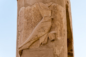 God Horus on the column at the great temple of Queen Hatshepsut in Luxor, Egypt