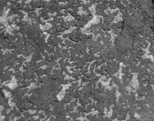 surface19(2)