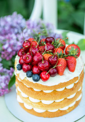 Homemade summer biscuit cake with cream and fresh berries In the garden Lilac Soft focus