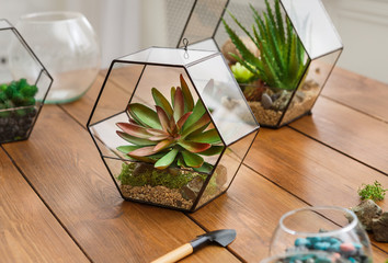 Gardening service concept