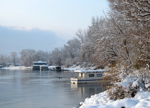 River Danube environment, Futog Serbia