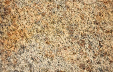 Wild stone texture 