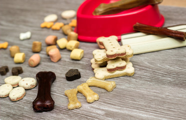 Pet food, snacks for dogs