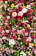 Abstract image of summer flowers background