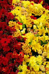 Abstract image of summer flowers background