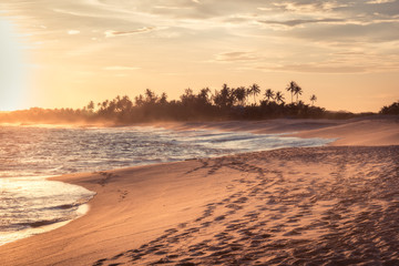 Fototapeta na wymiar Beach sunset travel vacation lifestyle landscape with palm trees wide sand coastline waves with scenic orange sunset sky in Sri Lanka Tangalle beach