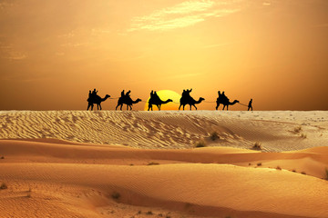 Desert adventure with camels ride and travellers on sand dunes 