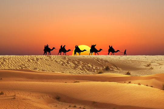 Caravan of camels in Arabian Desert with people silhouettes at sunset