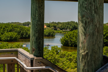 Fototapeta premium A look at some of the magnificant sights to see in Weeden Island Preserve.