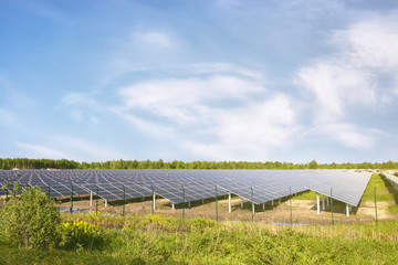 Solar panels under the sun in the field