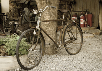 Plakat old rusty vintage bike near big tree trunk. Rural areas. Aged photo style.