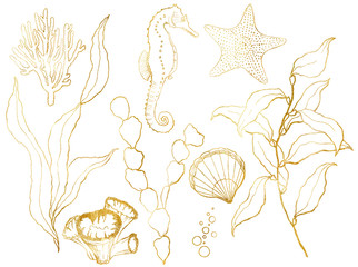 Golden sketch underwater set. Hand painted seahorse, laminaria, starfish and shell isolated on white background. Aquatic line art illustration for design, print or background.