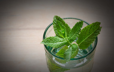 mojito cocktail on the wooden table